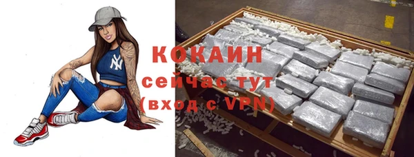 дживик Балахна