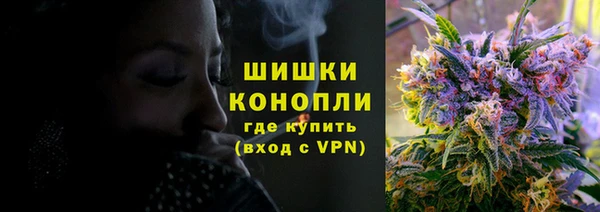 дживик Балахна