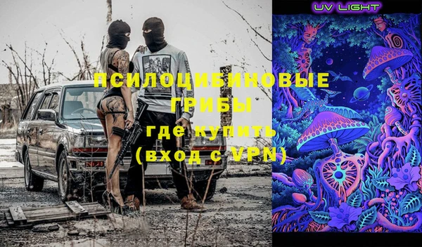 дживик Балахна