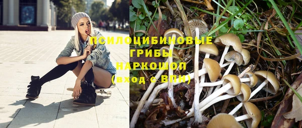 дживик Балахна
